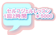 セルフジェルレッスン 1回3時間 ¥5000